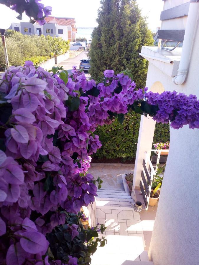 Apartman Milutin Vrsi Esterno foto